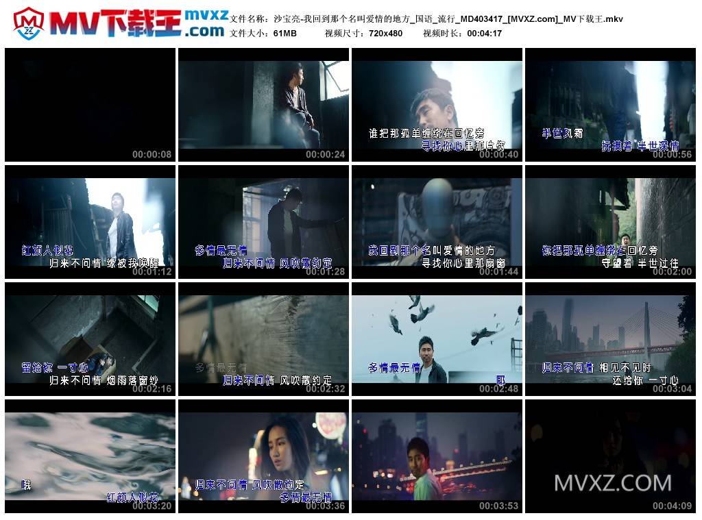 沙宝亮-我回到那个名叫爱情的地方_国语_流行_MD403417